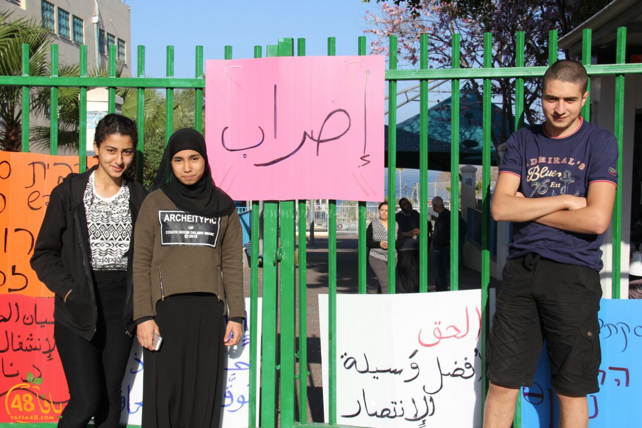 idrab shamela (7).jpg